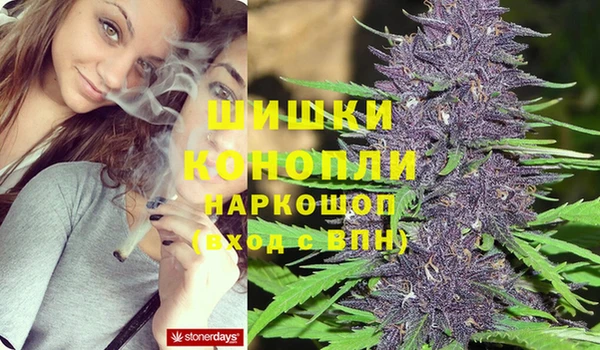 стафф Абаза