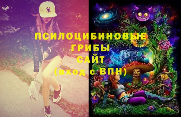 стафф Абаза