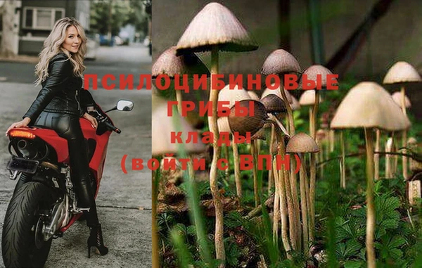 стафф Абаза