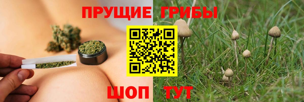 Кандалакша  Галлюциногенные грибы Magic Shrooms  Вход с VPN 